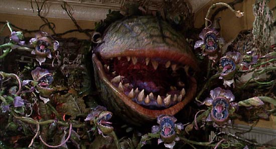 Little Shop of Horrors Little Shop of Horrors