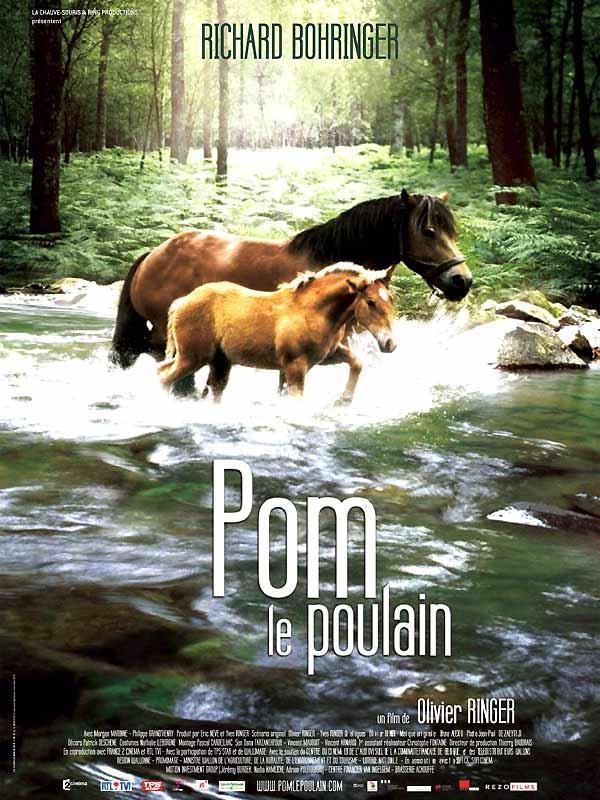 The Foal 