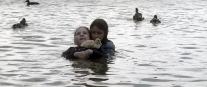 Birds of Passage