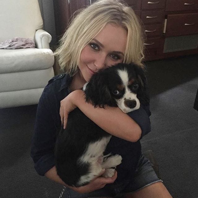 Hayden Panettiere Hayden Panettiere