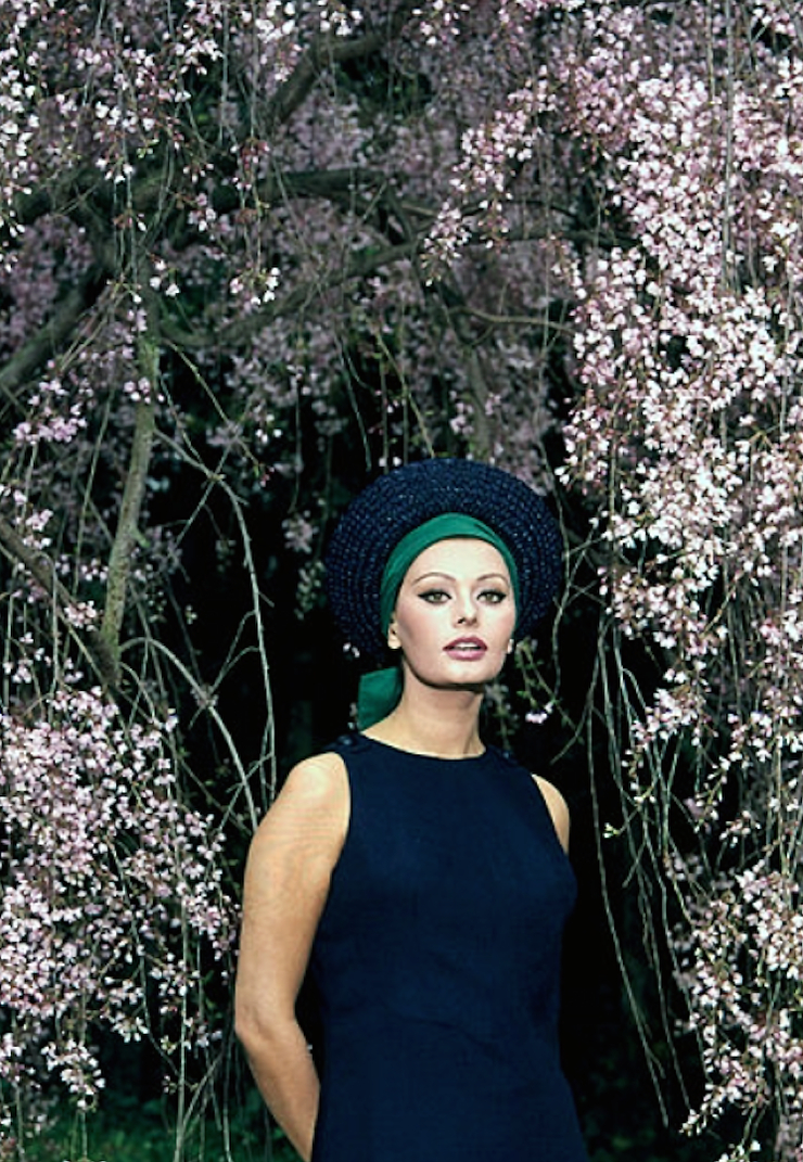 Sophia Loren