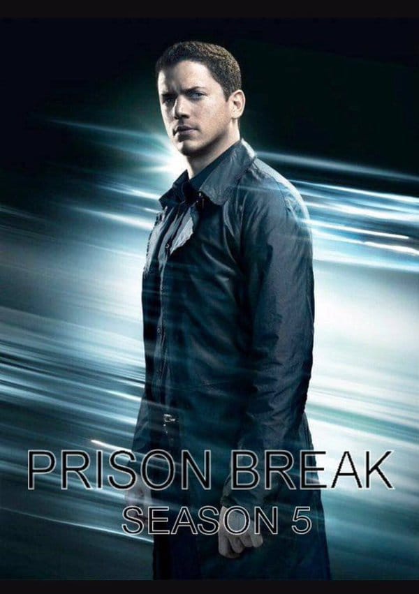Prison Break                                  (2005-2017)