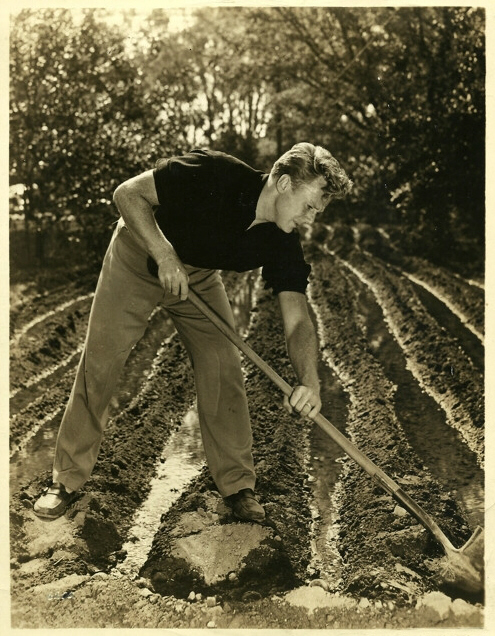 Van Johnson Van Johnson
