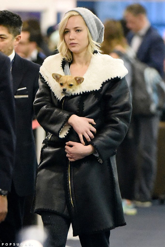 Jennifer Lawrence Jennifer Lawrence