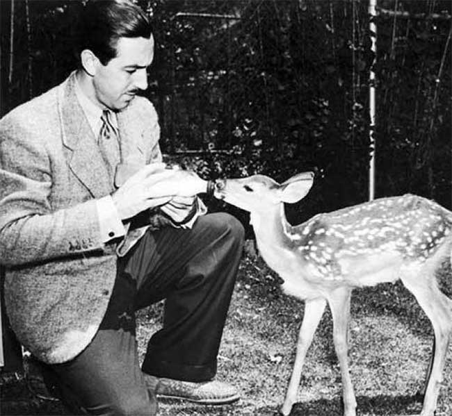 Walt Disney Walt Disney