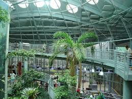 California Academy of Sciences