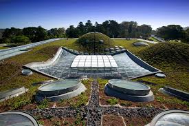 California Academy of Sciences