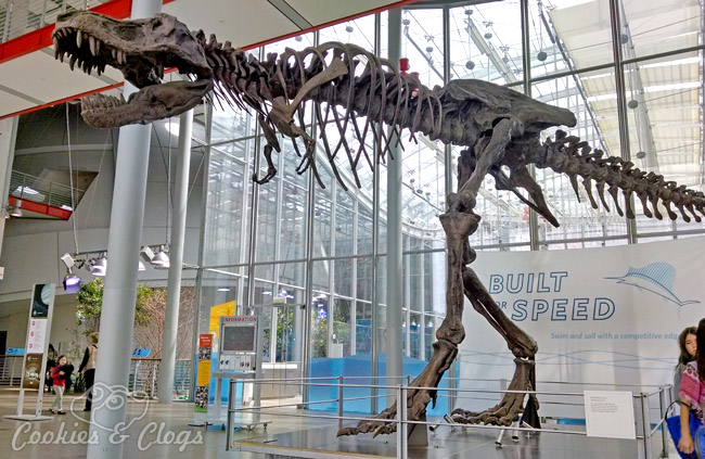 California Academy of Sciences