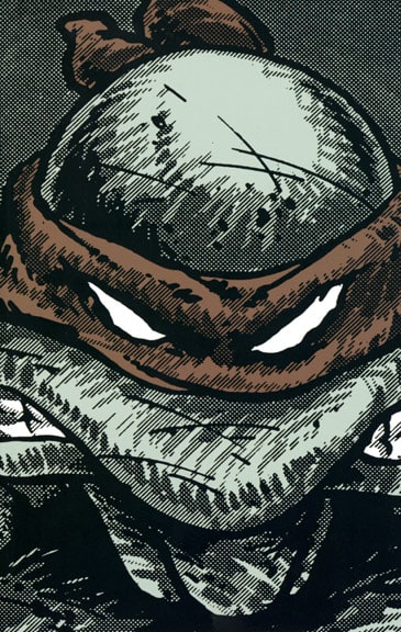 TMNT Collected Book Volume One