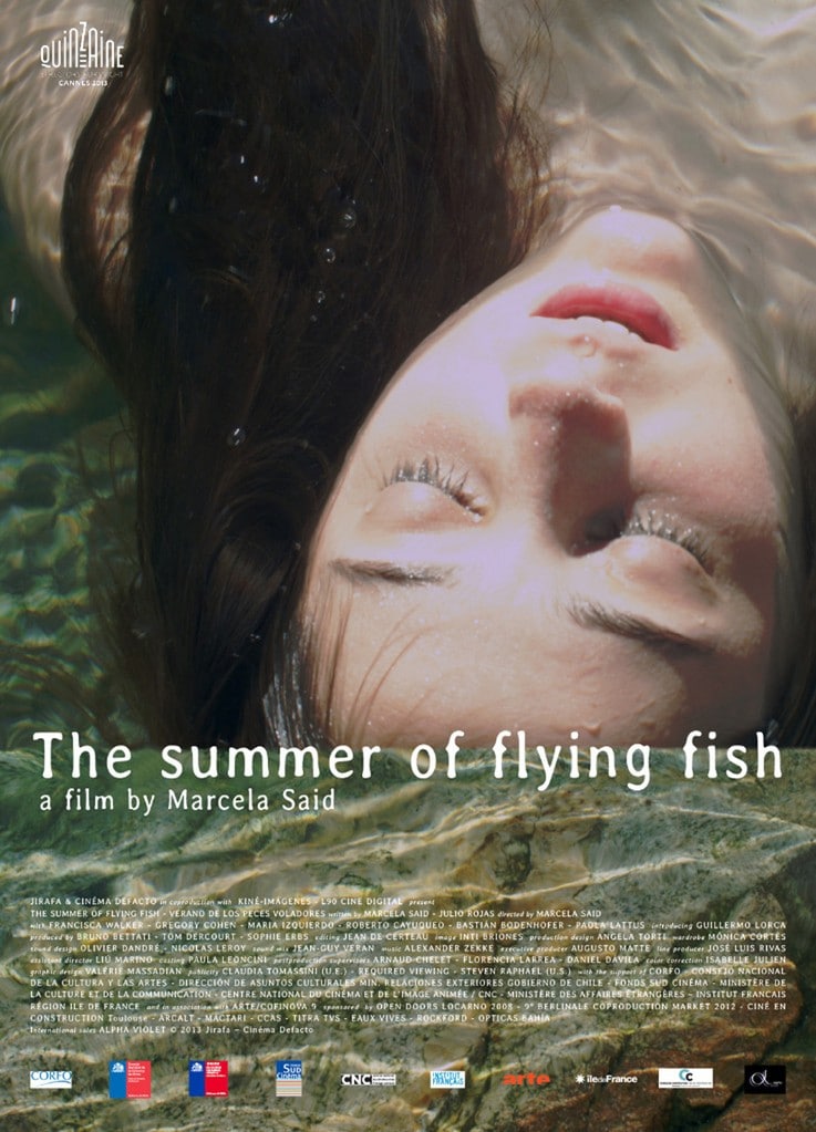 El verano de los peces voladores