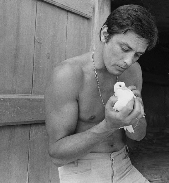Alain Delon Alain Delon
