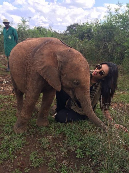 Shay Mitchell