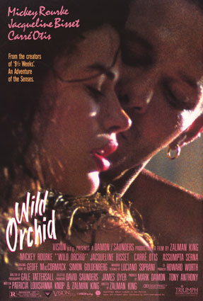 Wild Orchid Wild Orchid